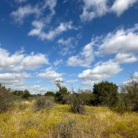 189 - Acres….4 Tanks Oaks Views Hunting Creek images 2