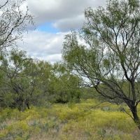 189 - Acres….4 Tanks Oaks Views Hunting Creek images 3