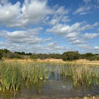 189 - Acres….4 Tanks Oaks Views Hunting Creek images 5