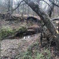 Heavily Wooded Acreage For Sale in Northeast Texas images 4