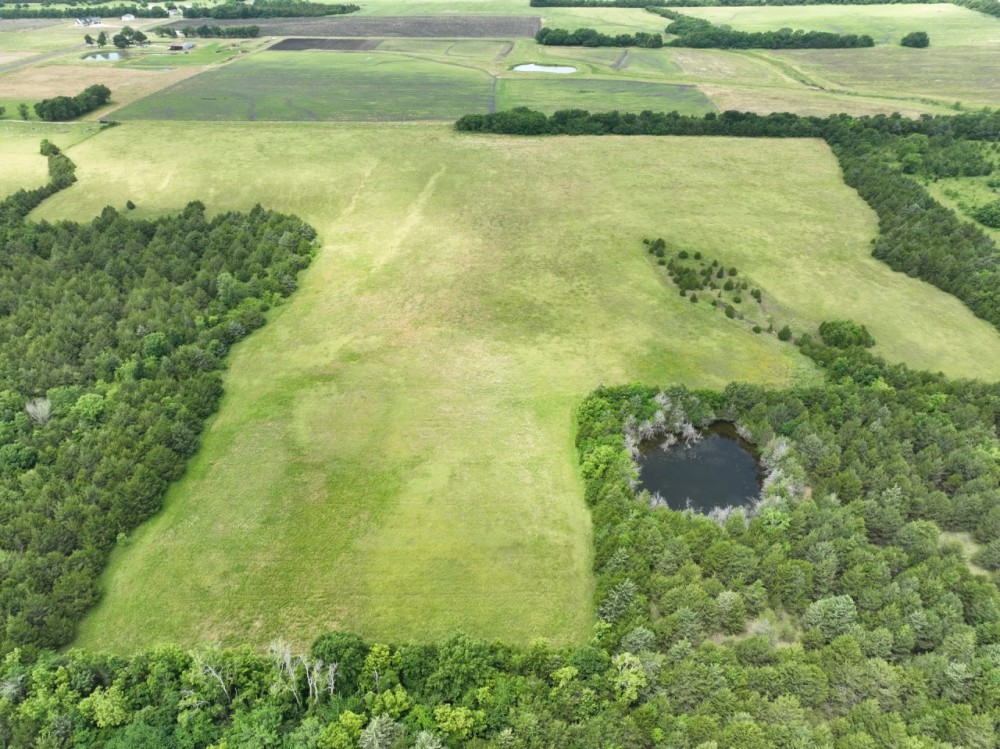 Scenic Wooded Acreage For Sale in Northeast Texas featured image