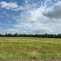 Scenic Wooded Acreage For Sale in Northeast Texas images 2