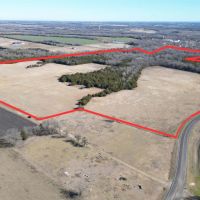Scenic Wooded Acreage For Sale in Northeast Texas images 3