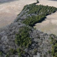 Scenic Wooded Acreage For Sale in Northeast Texas images 4