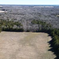 Scenic Wooded Acreage For Sale in Northeast Texas images 5