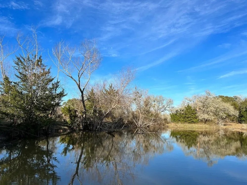 10021 Oilfield Rd Brenham TX featured image