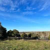 10021 Oilfield Rd Brenham TX images 2