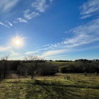 10021 Oilfield Rd Brenham TX images 3