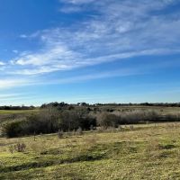 10021 Oilfield Rd Brenham TX images 5