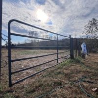 36 - Acre Farm For Sale in Wayne Co. images 3