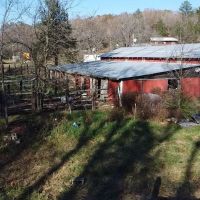 36 - Acre Farm For Sale in Wayne Co. images 4