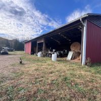 36 - Acre Farm For Sale in Wayne Co. images 5