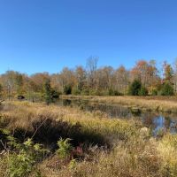 62 acres Adirondack Hunting Land Stratford NY