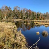 62 acres Adirondack Hunting Land Stratford NY images 2