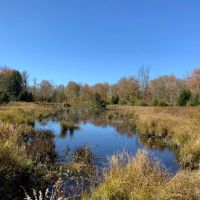 62 acres Adirondack Hunting Land Stratford NY images 3