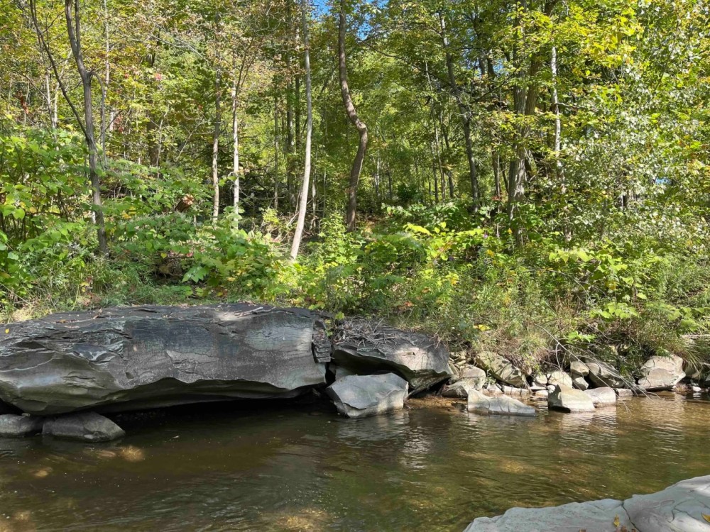 26 acres Waterfront Land on Keshequa Creek and Mature Forest in Portage NY Clancy Road featured image