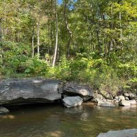 26 acres Waterfront Land on Keshequa Creek and Mature Forest in Portage NY Clancy Road images 1