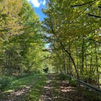 26 acres Waterfront Land on Keshequa Creek and Mature Forest in Portage NY Clancy Road images 4