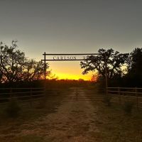 New Property 110 -Ac Cabin Callahan County images 2