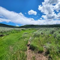 Hunting Acreage in GMU 62 with Cabin images 4