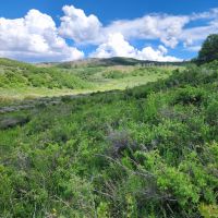 Hunting Acreage in GMU 62 with Cabin images 5