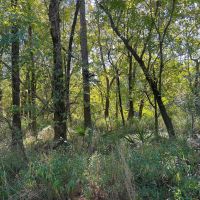 03-051-hall-brothers-farm images 2