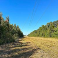 03-051-hall-brothers-farm images 3