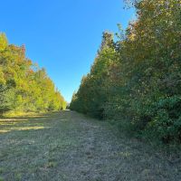 03-051-hall-brothers-farm images 4