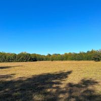 03-051-hall-brothers-farm images 5