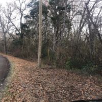 Heavily Wooded Acreage For Sale in Roxton TX
