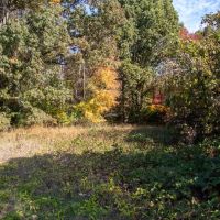 7.57 Acres of Recreational Rural Residential and Hunting Land For Sale in Pittsylvania County VA images 3