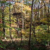 7.57 Acres of Recreational Rural Residential and Hunting Land For Sale in Pittsylvania County VA images 4
