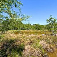 Liberty TX Tract 3 12 Acres Only 15K Down images 5
