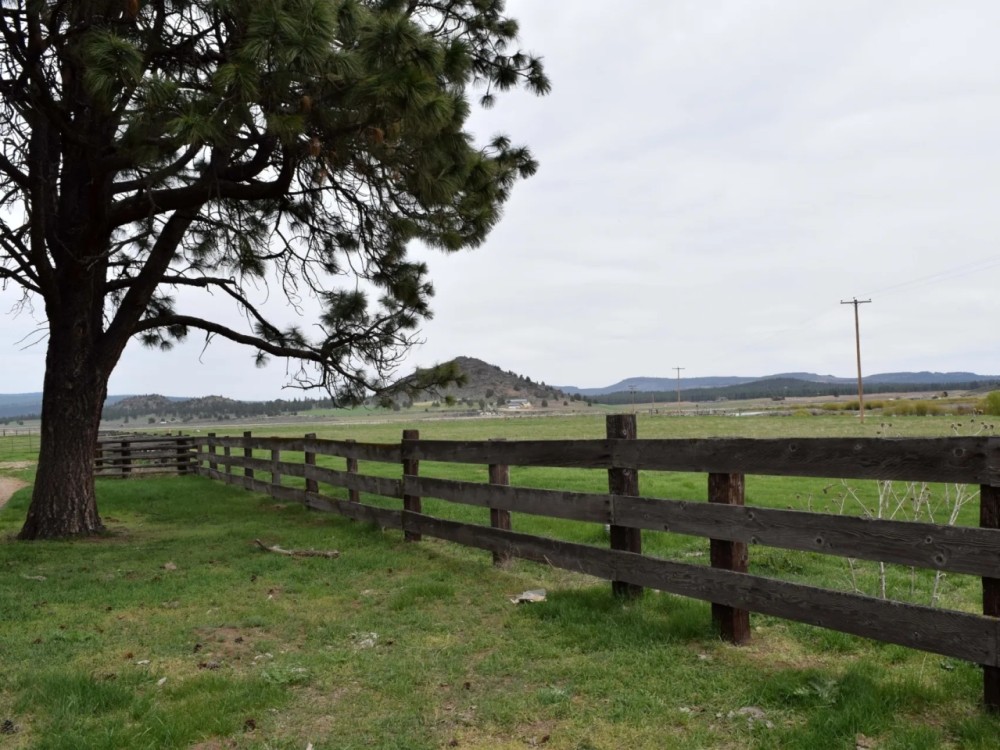 Four J Ranch featured image
