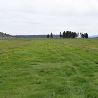 Four J Ranch images 5