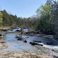 Deep Branch Creek Hunting Ranch 635 acres-SKB images 2