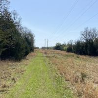 Deep Branch Creek Hunting Ranch 635 acres-SKB images 4