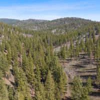 Allen Creek Hunting Retreat images 5