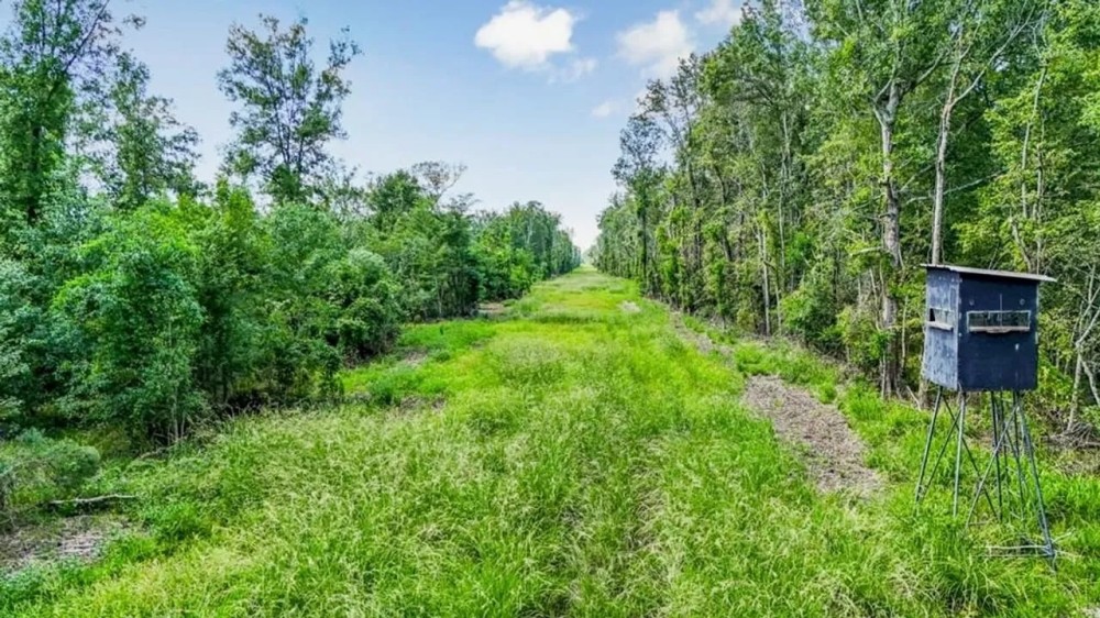 196 Acre Sportsman s Paradise Pointe Coupee Parish LA featured image