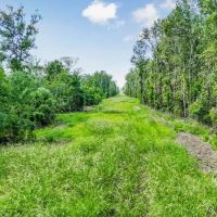 196 Acre Sportsman s Paradise Pointe Coupee Parish LA