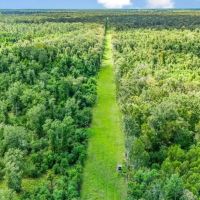 196 Acre Sportsman s Paradise Pointe Coupee Parish LA images 2