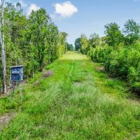 196 Acre Sportsman s Paradise Pointe Coupee Parish LA images 4