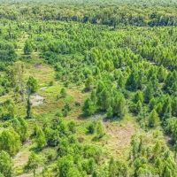 196 Acre Sportsman s Paradise Pointe Coupee Parish LA images 5