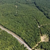 LA - Ouachita 53 acres - images 2