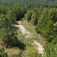 LA - Ouachita 53 acres - images 5