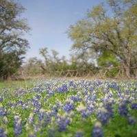 Hayn Ranch images 3