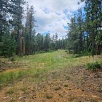 42C Rancho Escondido images 5