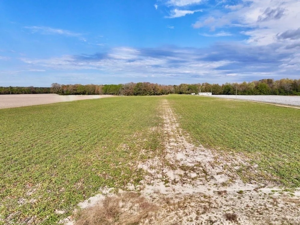 20.7 Acres of Riverfront Land For Sale in Martin County NC featured image
