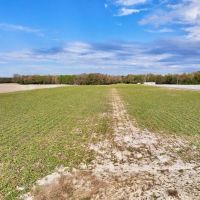 20.7 Acres of Riverfront Land For Sale in Martin County NC