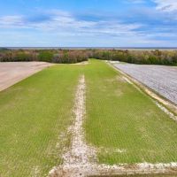 20.7 Acres of Riverfront Land For Sale in Martin County NC images 4